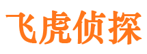 正安市调查公司